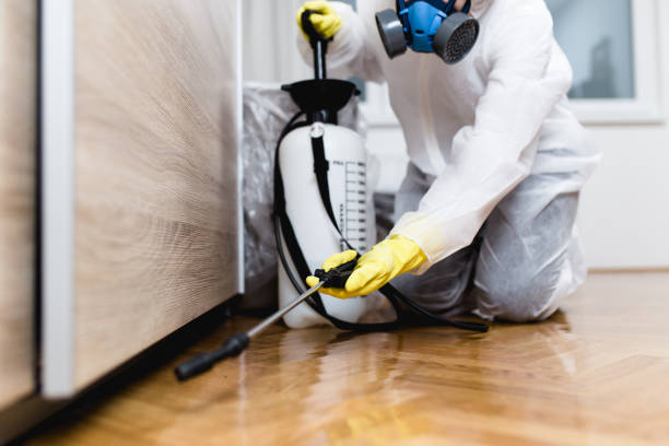 Best Exterminator Services  in Fairfield Bay, AR