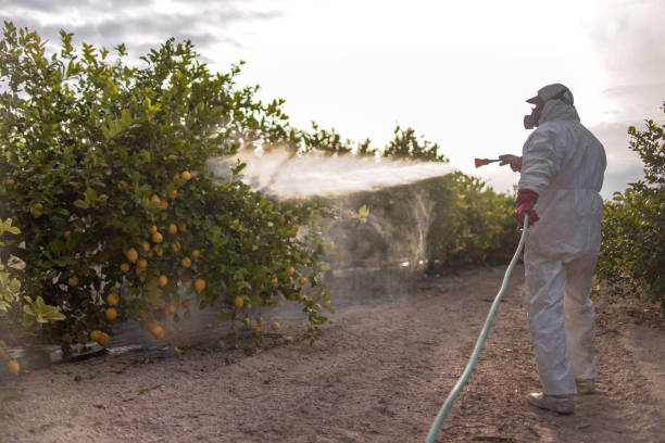 Best Affordable Pest Control Services  in Fairfield Bay, AR
