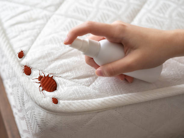 Best Mosquito Control Services  in Fairfield Bay, AR