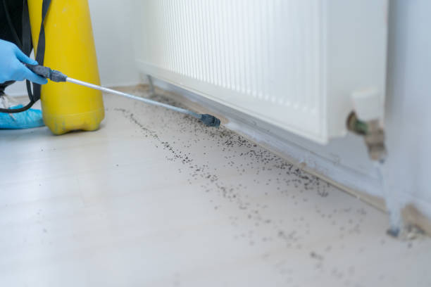 Best Residential Pest Control  in Fairfield Bay, AR